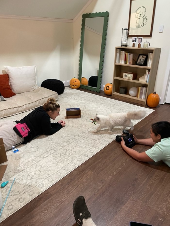 a woman taking a picture of a cat