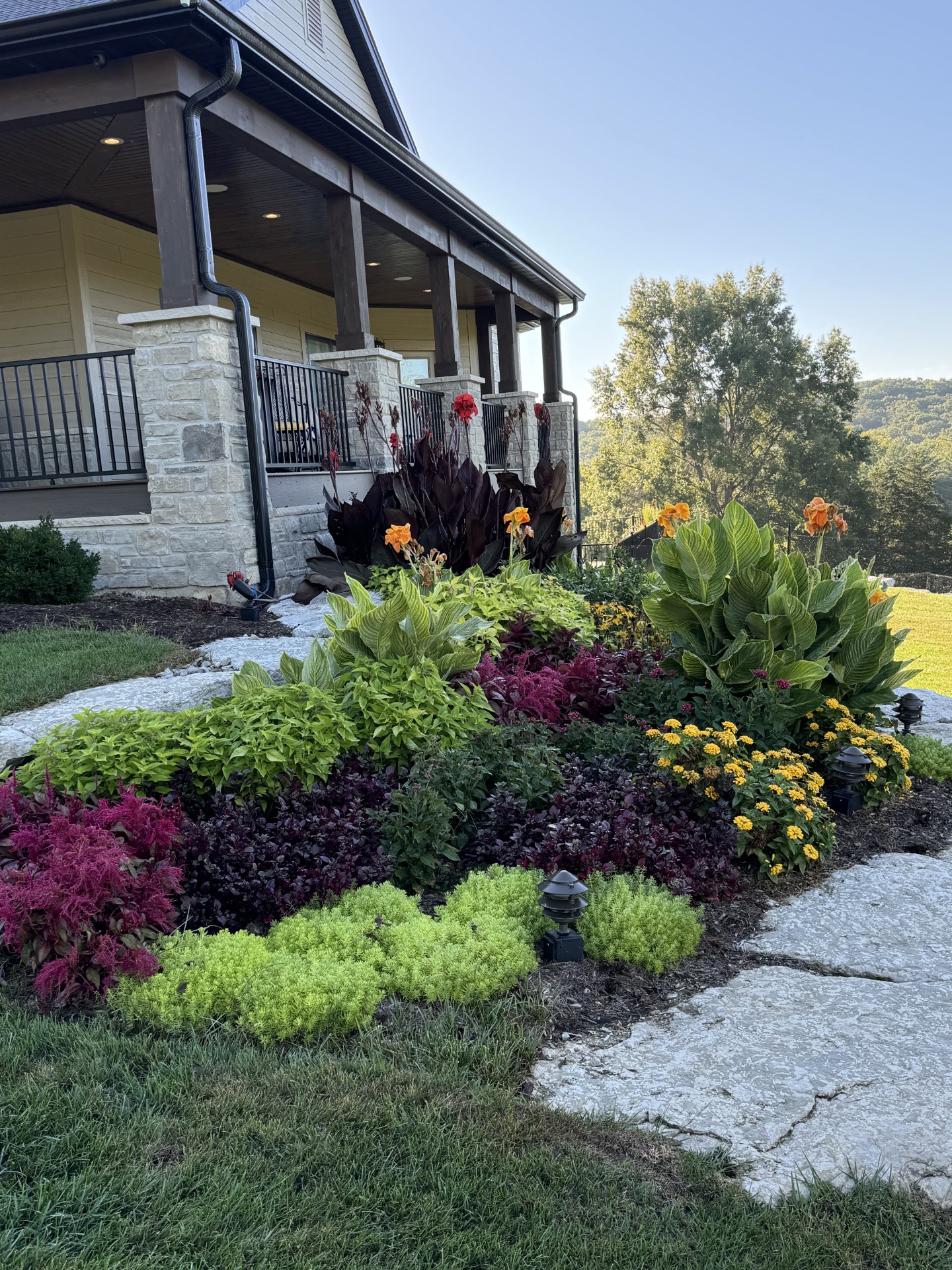 a picture of a garden