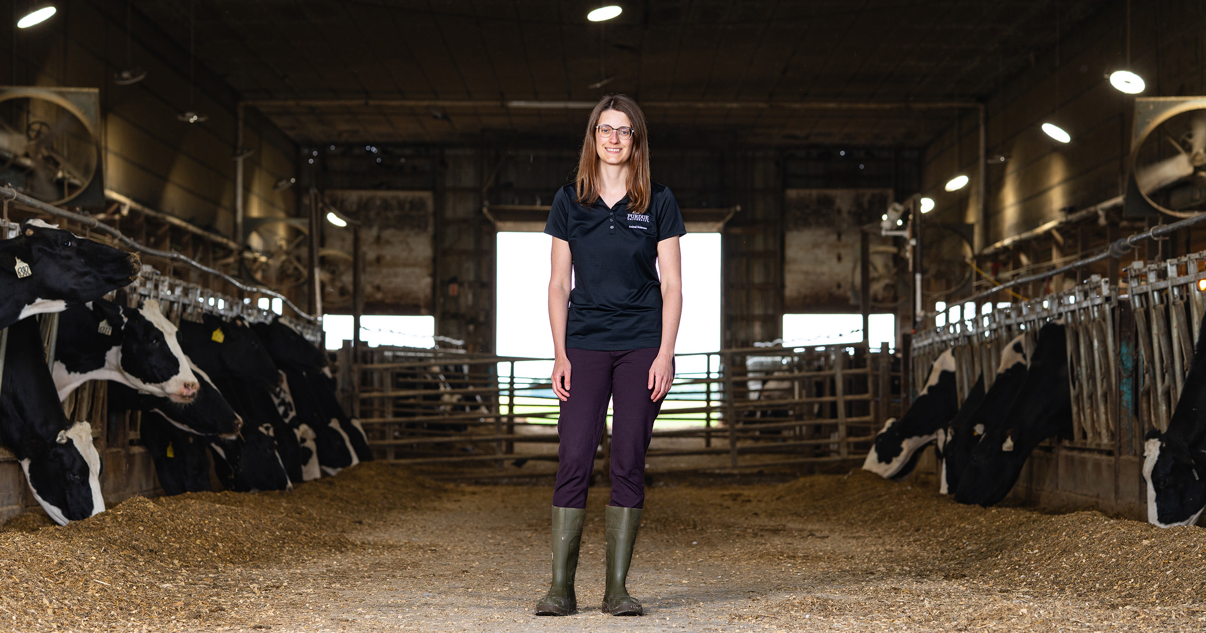 Heather Neave stands in a dairy barn at Purdue University, surrounded by Holstein cows eating at feed bunks.