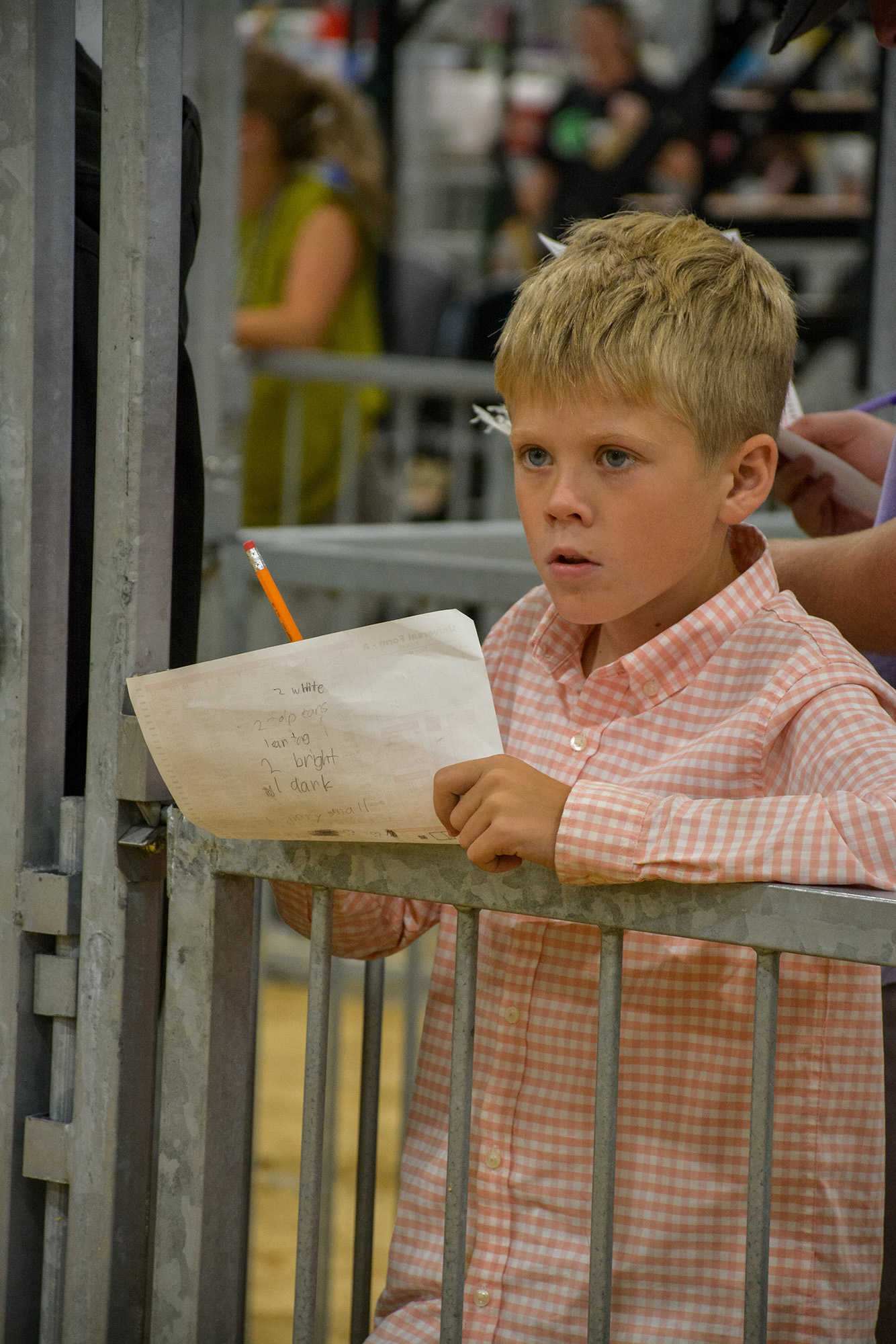 Child in a pink and white checkered shirt holding a pencil and handwritten paper behind a metal fence during a livestock judging activity.