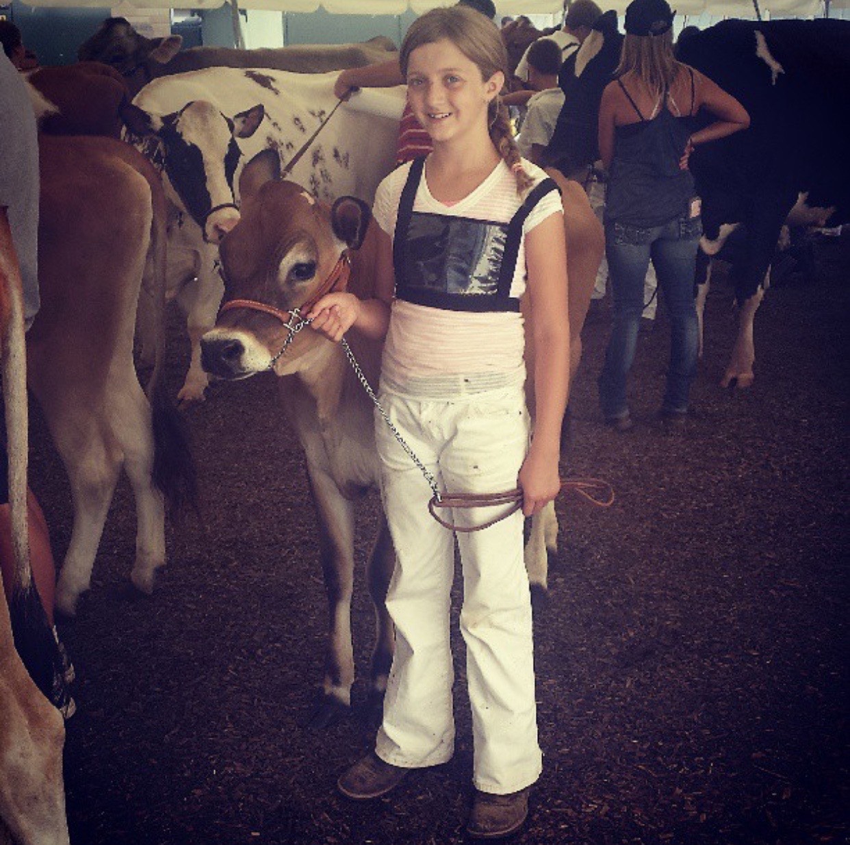 A young girl smiles while holding a Jersey calf by a halter inside a livestock show barn. She wears white show pants, a light-colored shirt, and boots, surrounded by other exhibitors and cattle.