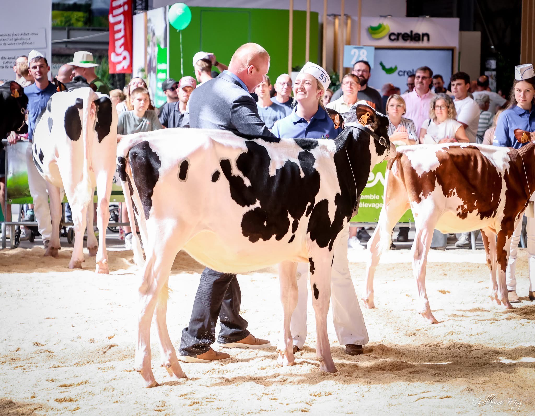 Jackie Mudd, wearing a blue shirt and white cap, smiles while holding a Holstein heifer by the halter in a show ring at the Young Breeders School in Belgium. A man in a suit speaks to her as spectators watch from behind the barrier.