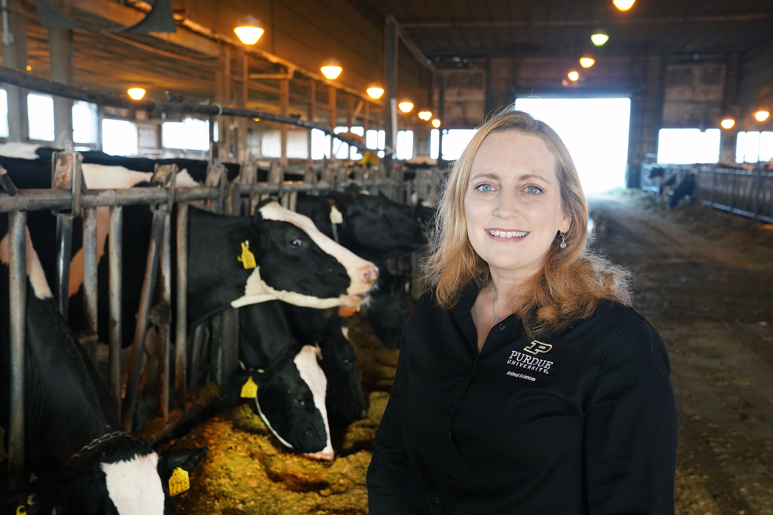 A woman wearing a black Purdue Animal Sciences shirt stands inside a dairy barn and smiles at the camera. Behind her, several Holstein cows eat at a feed bunk, and warm overhead lights illuminate the barn.