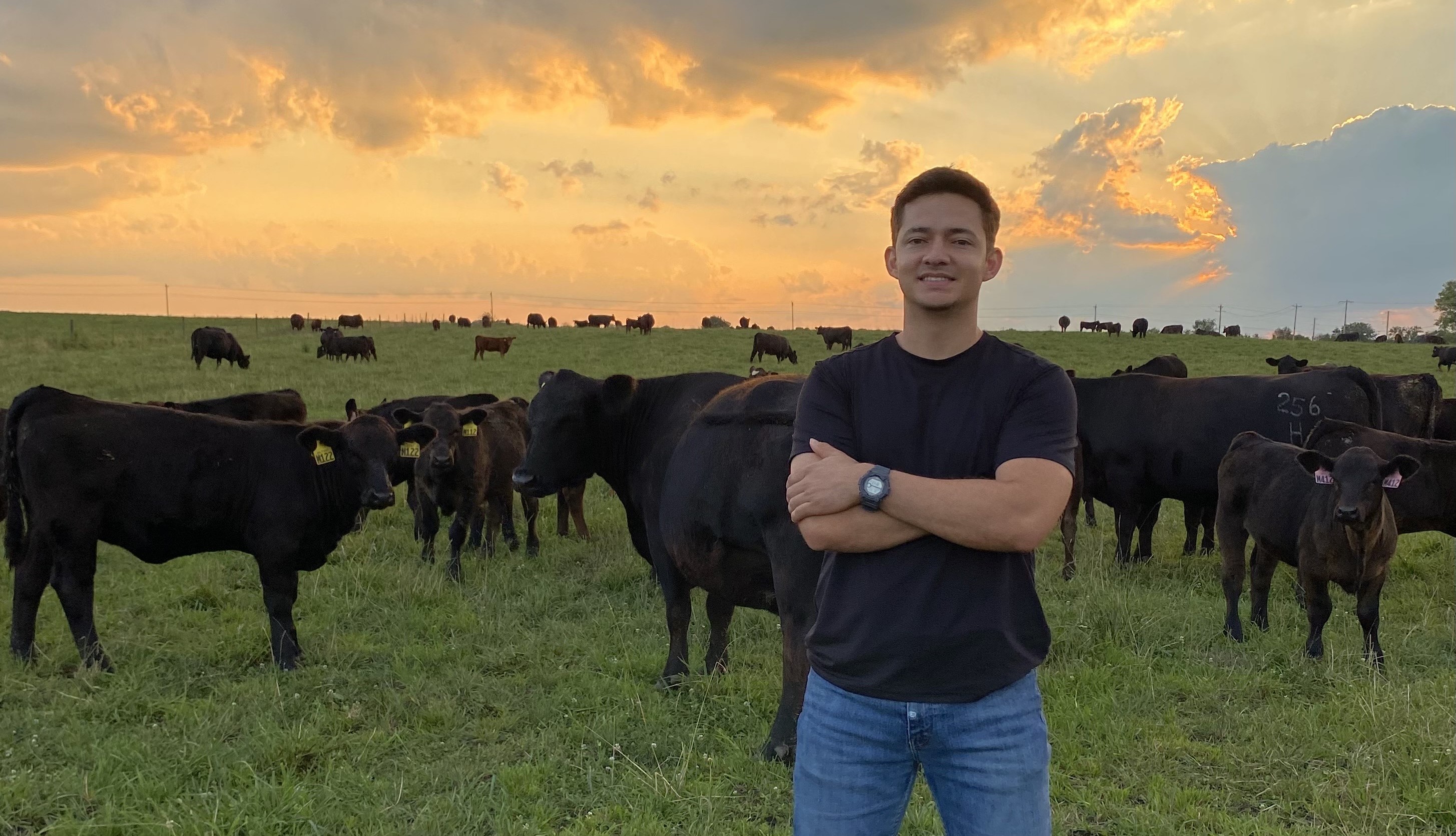 a man standing with cows