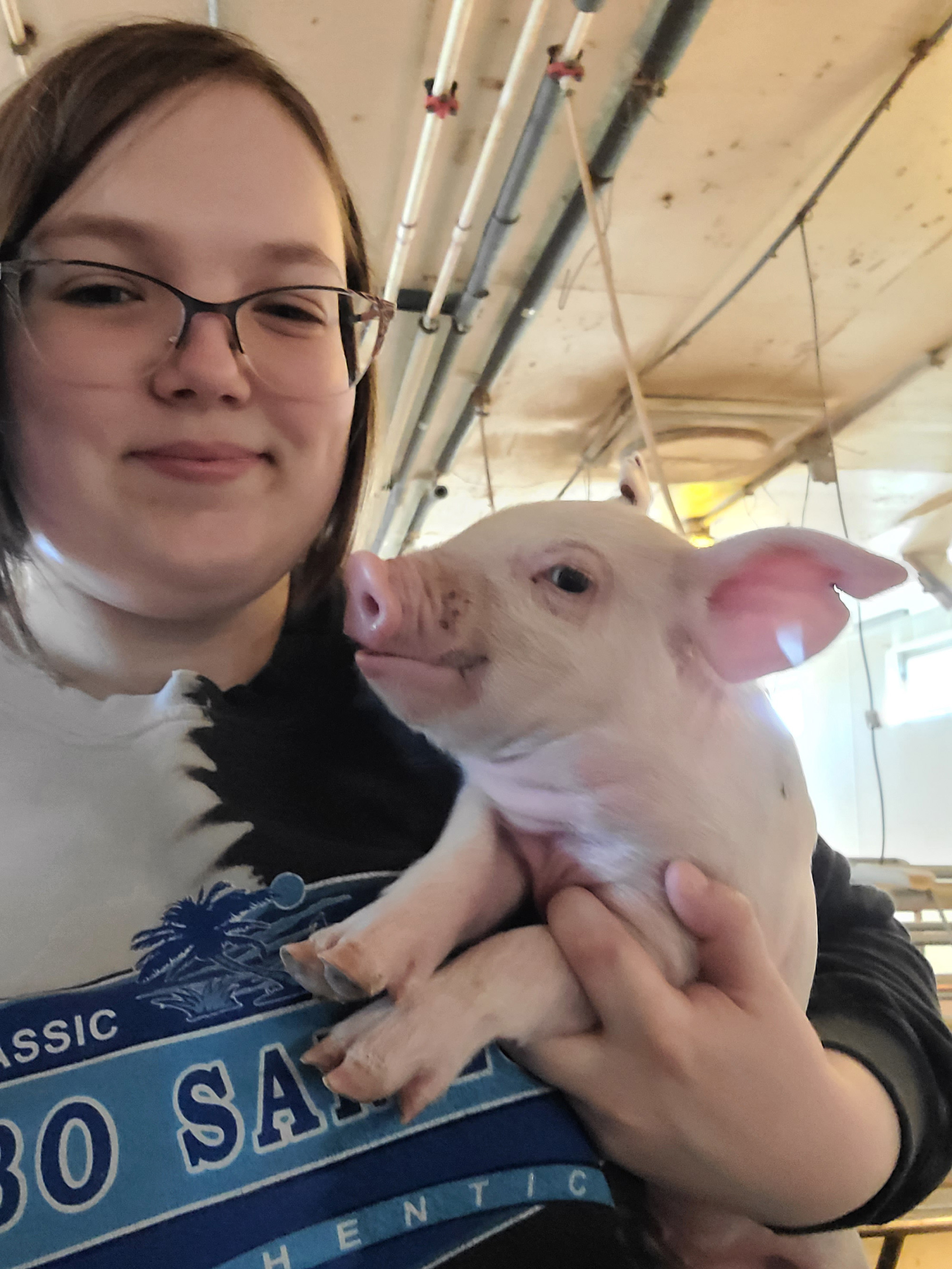 A student holds a piglet.