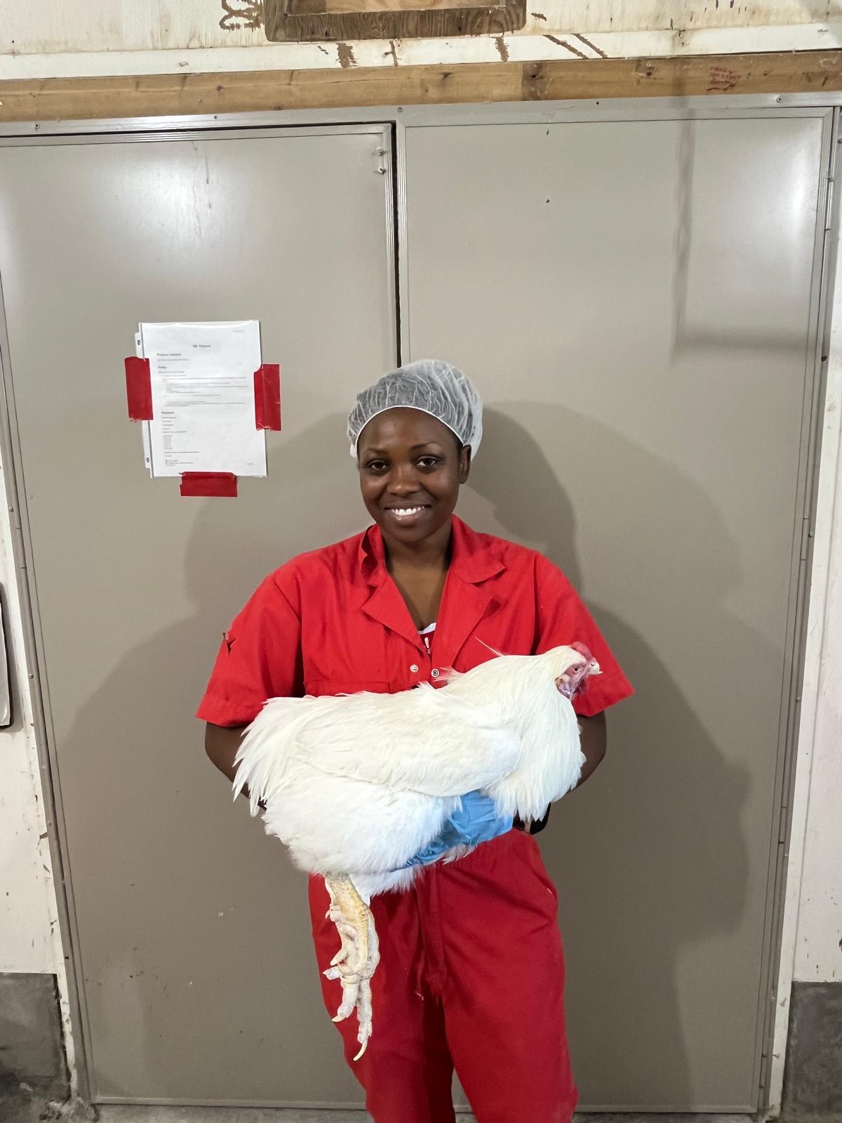 Victoria Uyanga holds a chicken at a poultry facility.