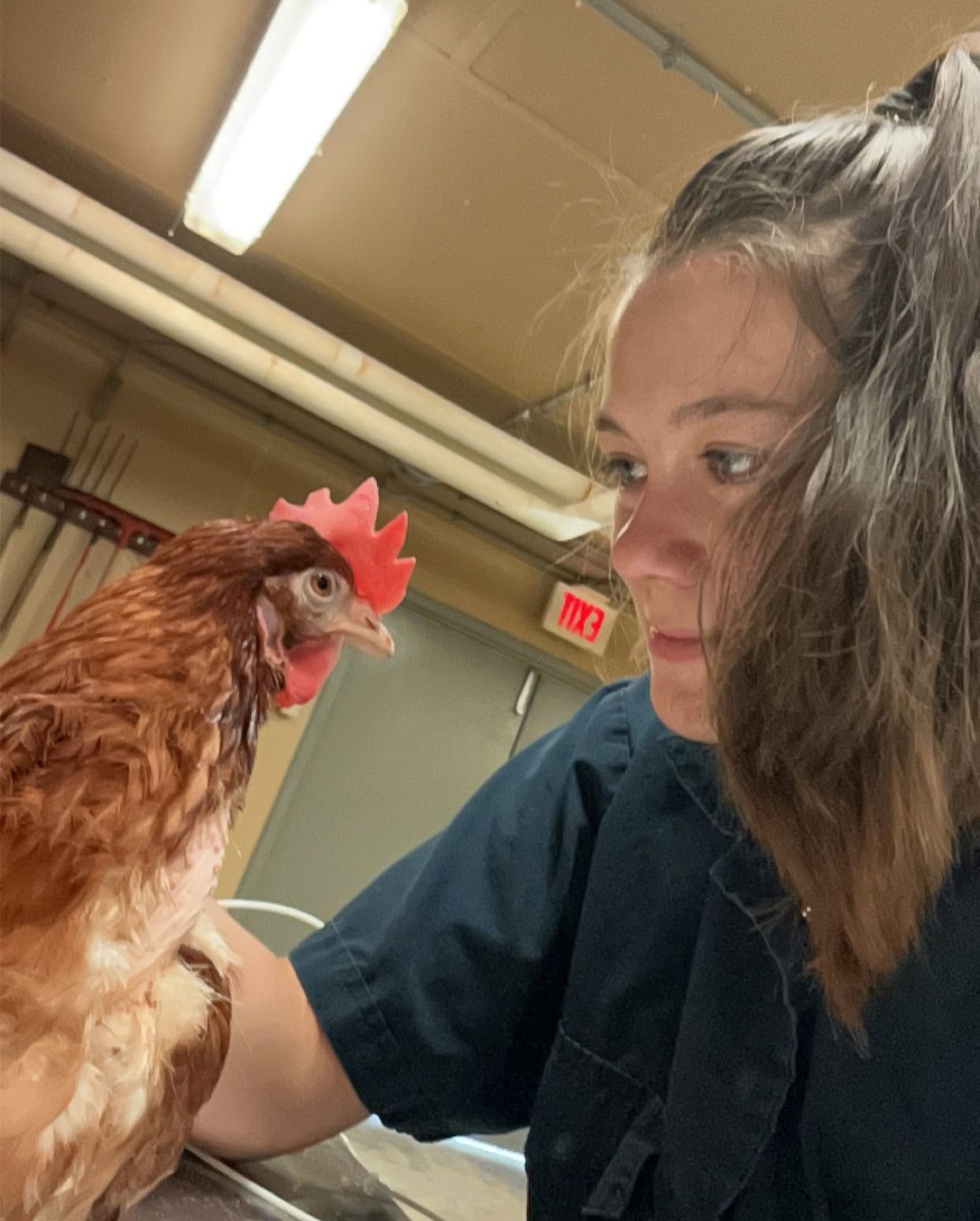 Isabella von Seggern looks at a chicken.