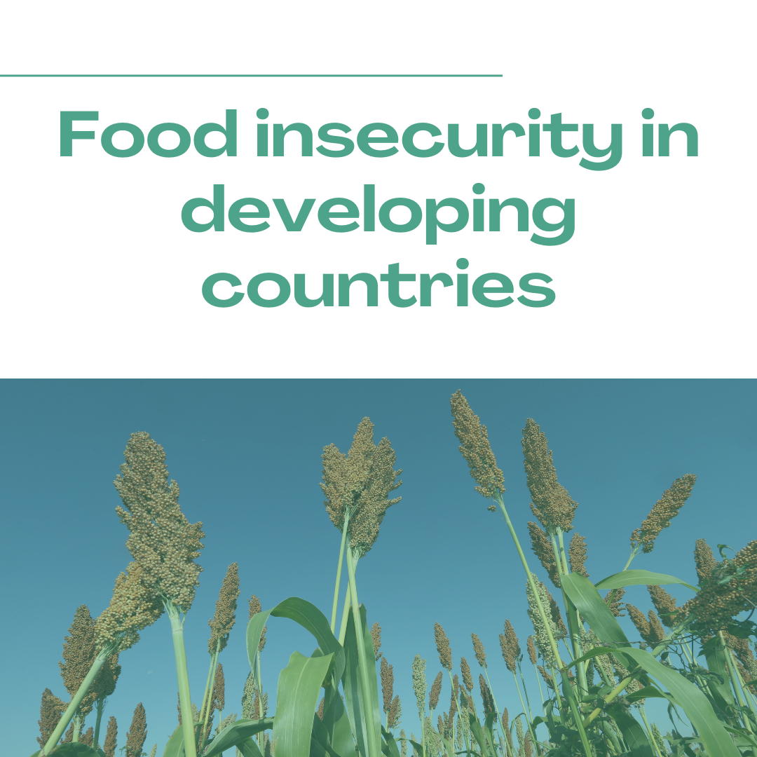 Food insecurity in developing countries
