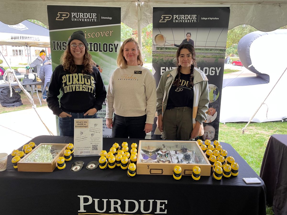 people visiting table
