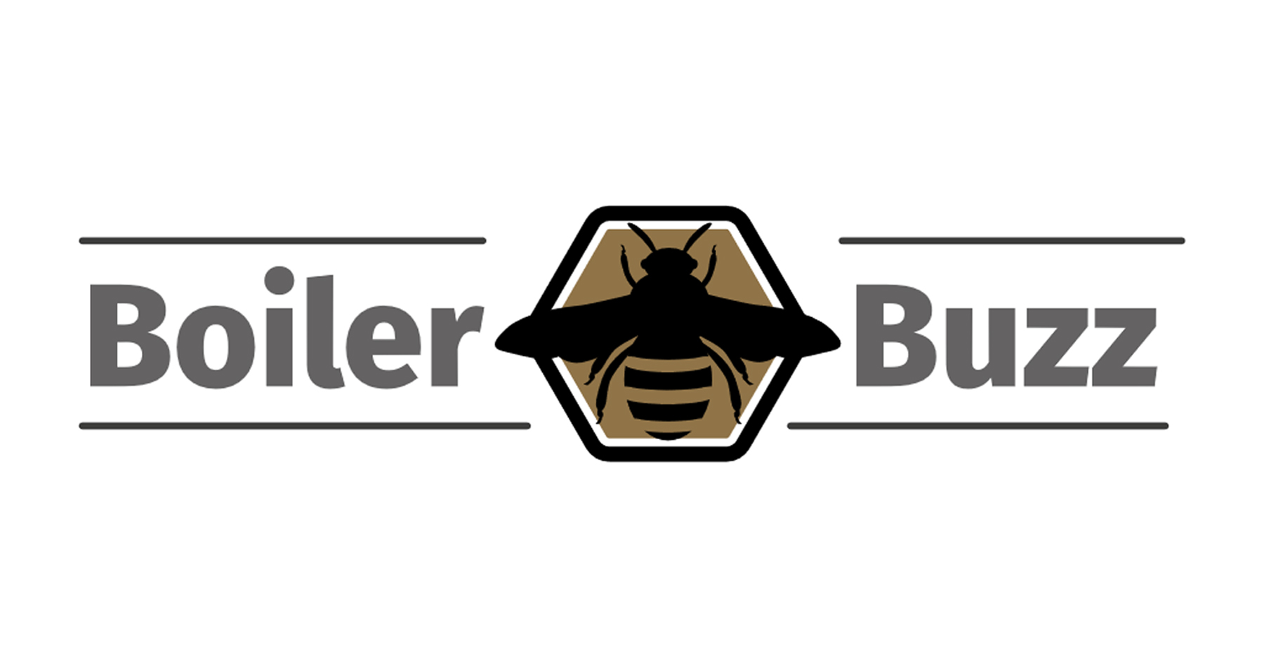 boiler buzz