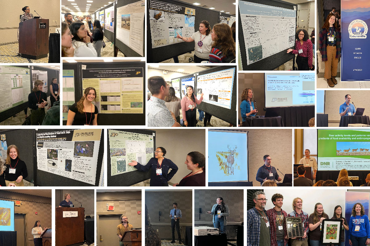 A collage of images of the Purdue FNR affiliated speakers and poster presenters at The Wildlife Society annual conference in Louisville, Ky.
