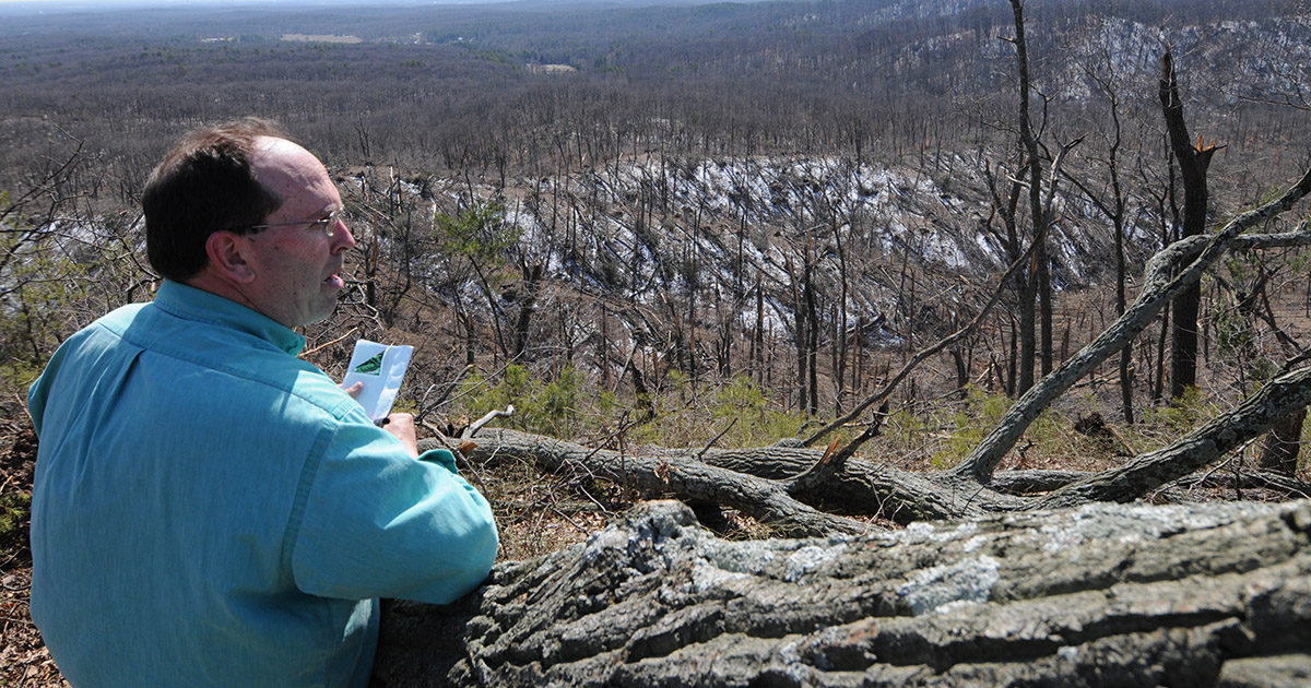 Jack Seifert surveys the damage of the 2012 tornado in Clark State Forest. 