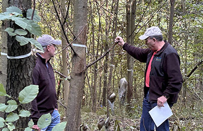 Seifert looks at a tree with a landowner