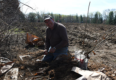 Seifert planting trees by hand