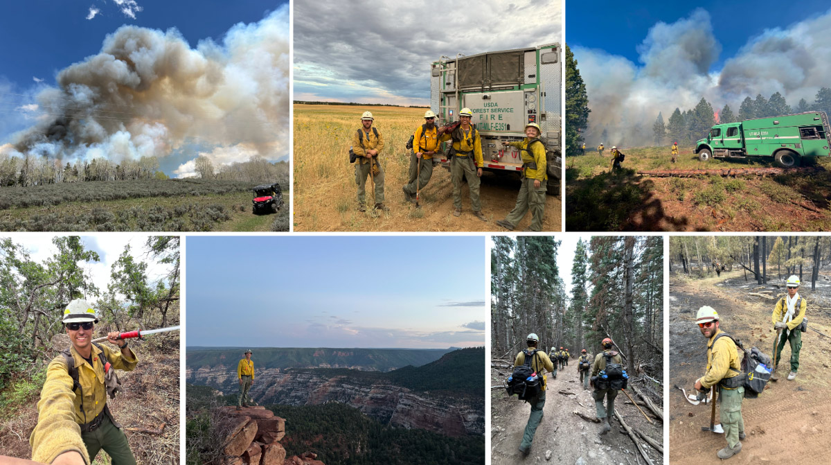 A collage of images of Zane Smoldt in his position as forestry technician and wildland firefighter for the USDA Forest Service in Utah. 