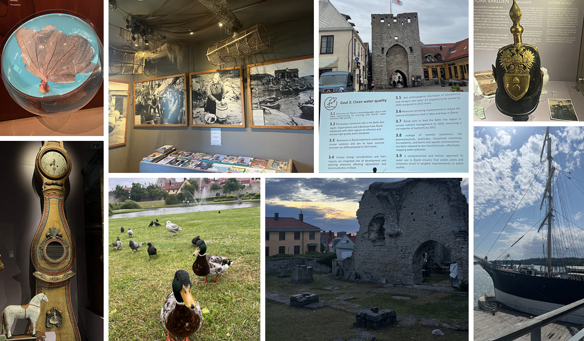 Collage of photos from Grace Brown's study abroad trip to Sweden.