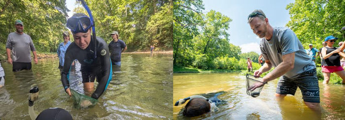 Hellbender River