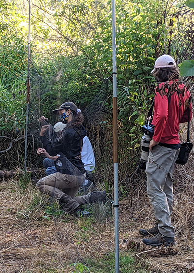 Students using net to study birds