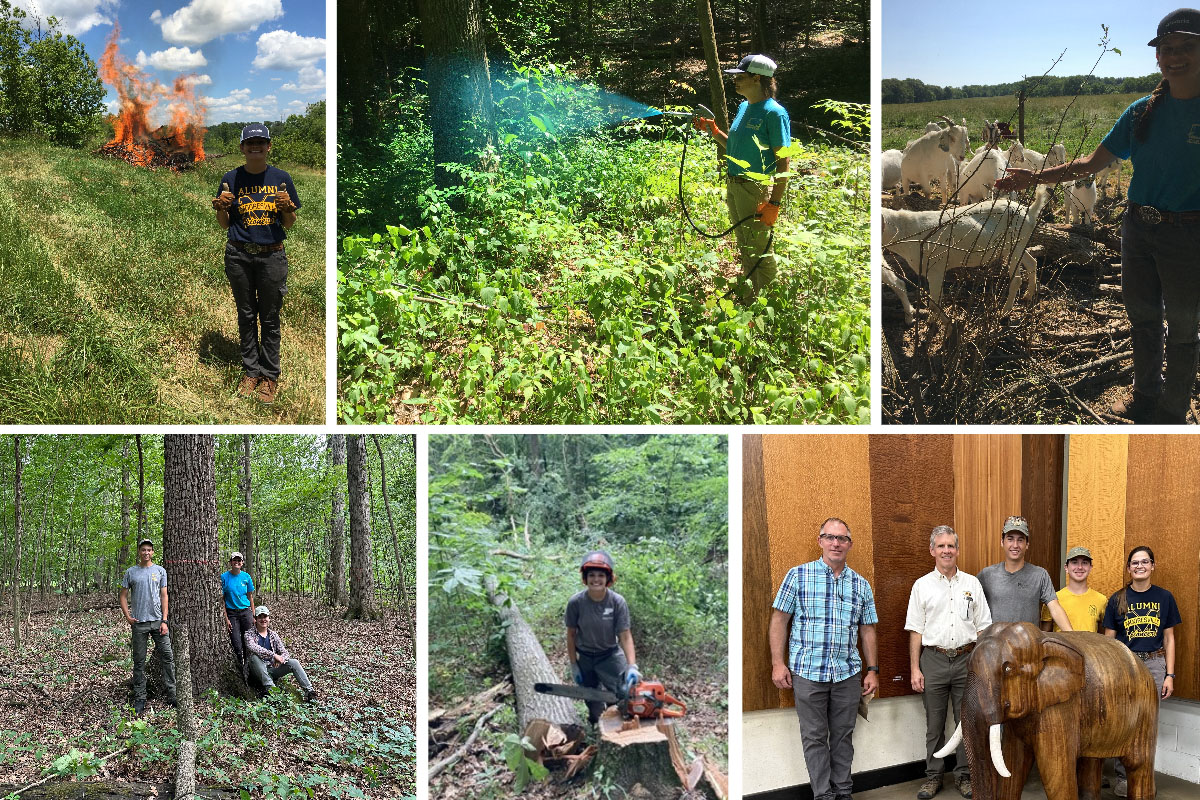 Top Row (Left to Right): Mikaela Agresta next to a burn pile she was in charge of igniting, monitoring and controlling; Mikaela spraying invasive species with a UTV sprayer; Mikaela next to forestry goats, showing the damage they have done to invasive species due to grazing. Row 2 (Left to Right): Mikaela with fellow forestry interns Zach Smoldt and Andrew Tucker; Mikaela next to a heavily leaning red oak that she felled at SEPAC; Don Carlson, Ron Rathfon, Zane Smoldt, Andrew Tucker, and Mikaela visiting Bohlke Lumber Mill the last week of the internship.