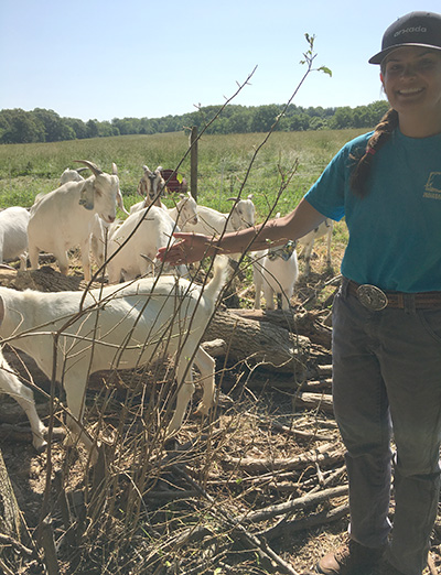 Mikaela Agresta next to forestry goats showing damage they have done to invasive species due to grazing.