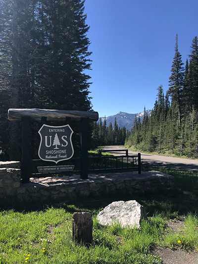 Shoshone National Forest entrance