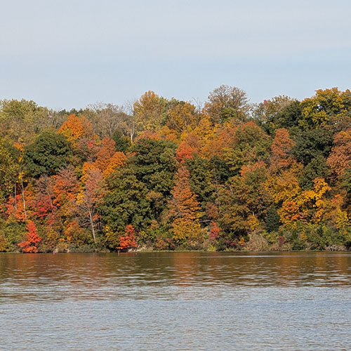 Trees with fall colors around the pond at Martell Forest