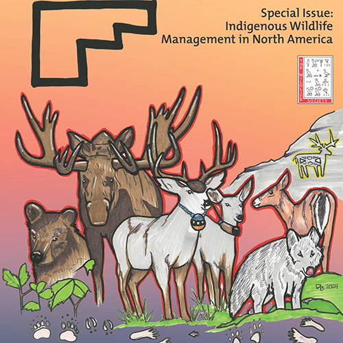 2018 master's alumnus Daniel Bird sits at a computer; the cover art Bird created for the special Indigenous Wildlife Management in North America issue of The Journal of Wildlife Management