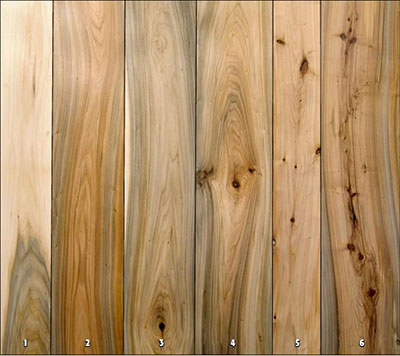 Black willow wood panels