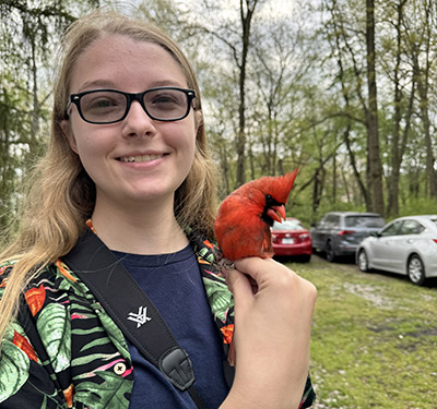 Elena Boughton holds a cardinal