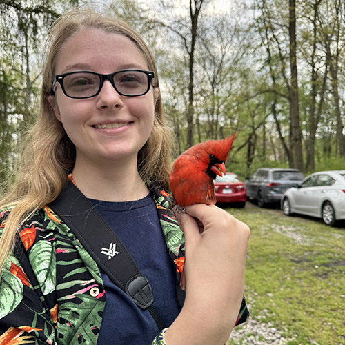 Elena Boughton holds a bird while bird banding; Elena holds a snapping turtle at Summer Practicum; Elena sits atop a mountain in Costa Rica. 