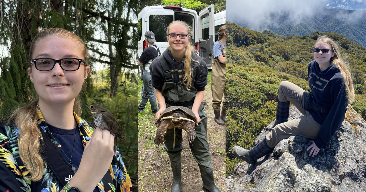 Elena Boughton holds a bird while bird banding; Elena holds a snapping turtle at Summer Practicum; Elena sits atop a mountain in Costa Rica. 