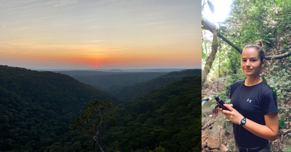 A sunrise over the Ntakata forest landscape with wildfire burnt landscape in the foreground; Ruth holding a GPS while taking a GPS point of a primate encounter while in the Ntakata forest