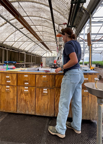 Kadian mixing fertilizer, which she says is like making a potion for the plants. We look at what nutrients the plant needs, and include a specifically weighed out amount to the fertilizer. The main nutrients we used were boron, iron, magnesium, and phosphoric acid. Then depending on the state of growth, the plants will receive starter, grower, or finisher. Each species receives a different mixture of fertilizer catered to its needs. 