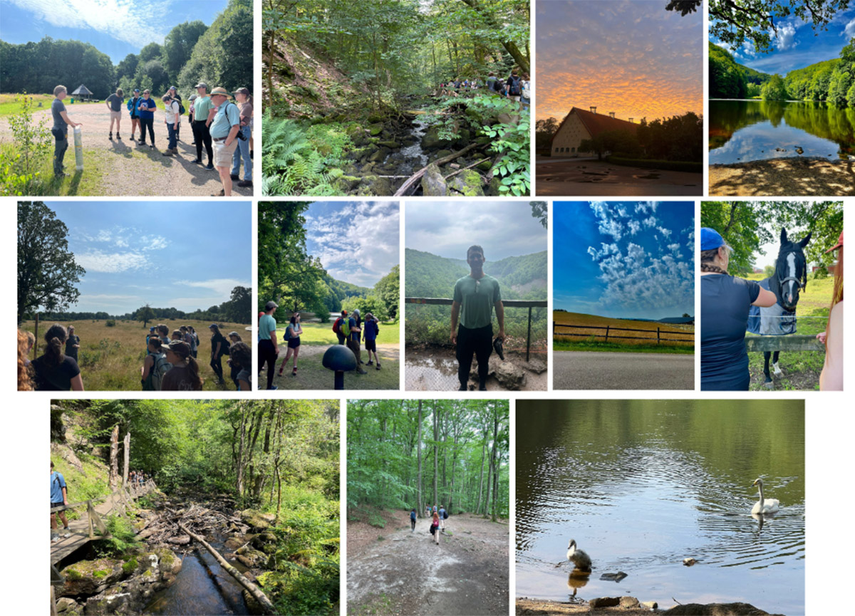 A collage of images taken at Söderåsen National Park and a nearby nature preserve 