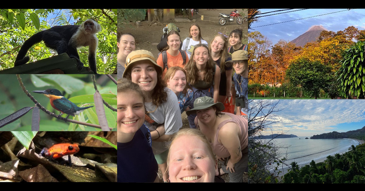 Photos from the Costa Rica Study Abroad trip: a capuchin white-faced monkey, a strawberry poison dart frog and an American pygmy kingfisher; a selfie including many students; the volcano as seen from LaFortuna, and a beach.
