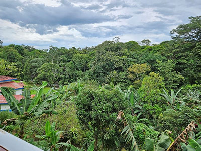 A balcony view from La Fortuna