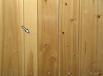 Wood panels of eastern cottonwood