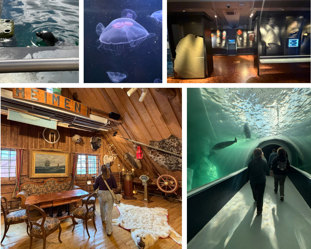 A collage of images from Norway, including photos from the Polaria Aquarium and the Arctic Museum of Norway, including a seal, a jellyfish, museum displays and a tunnel aquarium with people walking underneath.