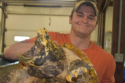 Dr. Zackary Delisle holds an alligator snapping turtle.