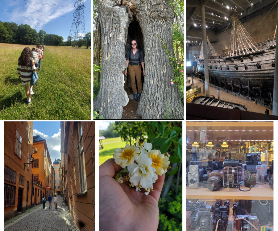 A collage of photos from Day 2 of the Sweden Study Abroad Trip: Top Row (Left to Right) - Walking in the Royal National City Park; standing in a hollow oak tree in the Royal National City Park (photo credit - Elizabeth Nojd); The Vasa. Row 2 (Left to Right): Old Town in Stockholm; Wild roses; A shop window full of cameras. 