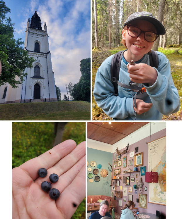 A collage of images from Day 6 of the Sweden Study Abroad trip. Top row (Left to Right): Graveyard church in Skinnskatteburg; Elizabeth Nojd with a toad. Row 2(Left to Right): Foraged wild blueberries; A wall in Baggå Skola