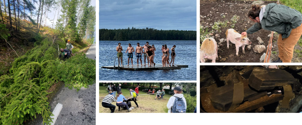 A collage of images from Day 7 of the Sweden Study Abroad trip. Top row (Left to right): Spruce the group had to move out of the road; A group of students stand on the docks after swimming in Lake Vattern (photo credit - Lauren Bosteder). ; Sophia petting a pig (photo credit - Mal Wagner). Row 2: Game of tug-of-war (photo credit - Jennifer MacLellan); Wood shoes the miners used to wear. 