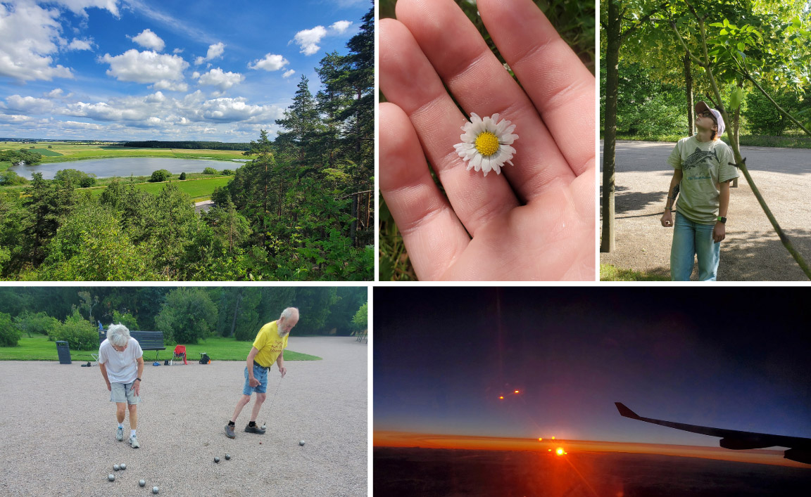 A collage of images from Day 1 of the Sweden Study Abroad trip: Top row (left to right) - The view over what used to be covered by the Baltic Sea; part of the Linnaeus trail; Common Daisy; Elizabeth Nojd at the botanical garden. Row 2 (Left to Right): Swedish people playing pétanque; A picture taken from the window of the plane at sunset, still over Canada