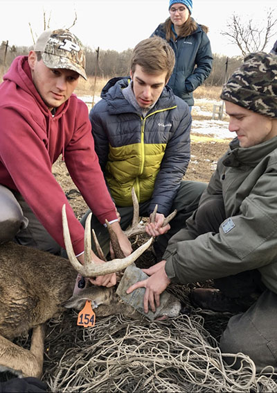 Russell Duke inspecting a deer that had been tagged for research