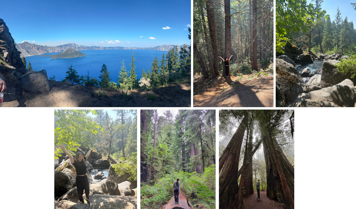 A collage of images from Alexandra Early's travels over the summer. Top row (Left to right): A photo of Crater Lake from a lookout point Alexandra hiked to; Alexandra standing in the beginning of the hike to see Mill Creek Falls in Prospect, Oregon; water flowing through the Avenue of Boulders in Prospect, Oregon. Row 2: Alexandra standing in front of water flower through the Avenue of Boulders; Alexandra looking out into the Redwood Forest on the "Big Tree" trail; Alexandra looking up at the beautiful redwood trees on the Lady Bird Johnson Grove Trail. 