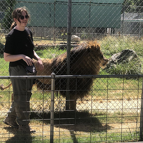 Alexandra Early standing with a black jaguar during a tour to show its size; Alexandra interacting with an African lion during a tour; Alexandra standing up a white Bengal tiger to show his size. 