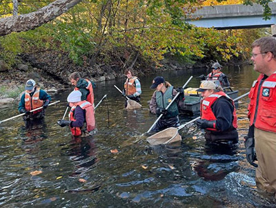 Students from AFS electrofishing