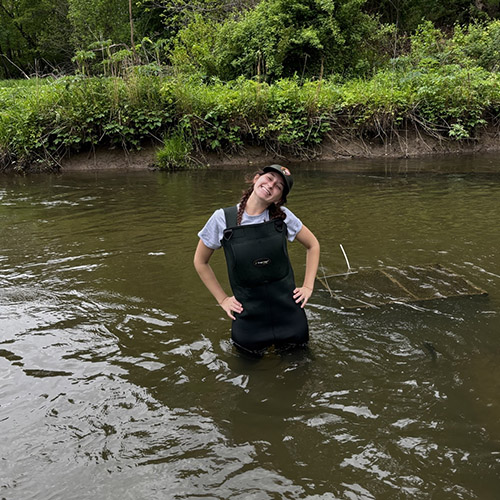 Addy Ellis using a seine on Lake Michigan; Ellis standing in a river in waders before checking on freshwater mussels; freshwater mussels in hand.