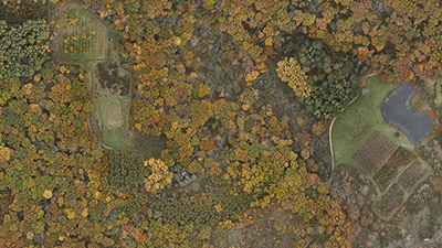 Fall foliage as seen from the sky
