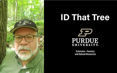 Lenny Farlee - ID That Tree opening screenshot